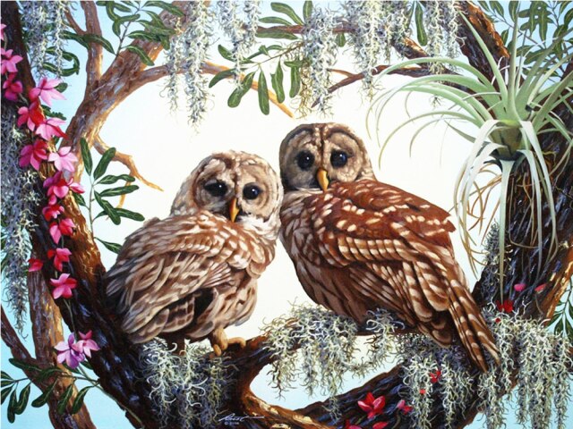Diamond Painting - Uilen - Diamond Paradijs