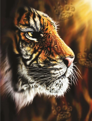 Tijger - Diamond Painting - Diamond Paradijs